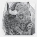Suche nach amerikanischer bison aufkleber Für alle