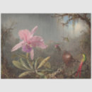 Suche nach kolibri seidenpapier Iris