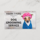 Suche nach hundetraining visitenkarten Heimtiergeschäft
