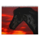 Suche nach reiter kalender Pony