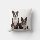 Suche nach boston terrier kissen Jede person