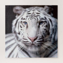 Suche nach weißer tiger puzzle Jede person