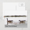 Suche nach gänse postkarten Für alle