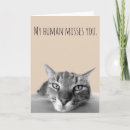 Suche nach miss you karten Katze