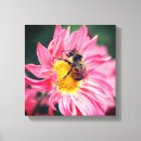 Suche nach hummel poster leinwandbilder Biene
