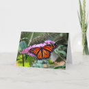 Suche nach orange schwarzer schmetterling karten Monarch