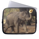Suche nach elephant laptop schutzhüllen Niedlich