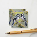 Suche nach magpie Maiskolben