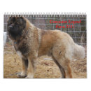 Suche nach bauernhof kalender Schafe