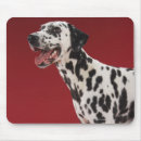 Suche nach dalmatiner mousepads Hunde