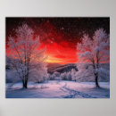 Suche nach sternenklare nacht poster Landschaft