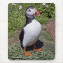 Suche nach papageientaucher mousepads Vogel