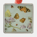 Suche nach motte ornamente 17