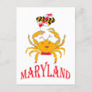 Suche nach maryland krabben postkarten Meeresfrüchte
