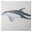 Suche nach delphin fliesen Säugetier