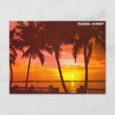 Suche nach florida sonnenuntergang postkarten Strand