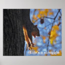 Suche nach lustige fotos poster Bilder