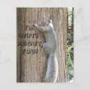 Suche nach lustiges eichhörnchen postkarten Freund