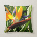 Suche nach paradiesvogel kissen Für alle