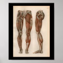 Suche nach bock poster Vintag