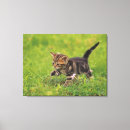 Suche nach anfänger leinwandbilder Neues leben