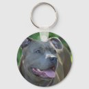 Suche nach pitbulls schlüsselanhänger Grube