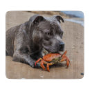 Suche nach hund schneidebrettchen Strand