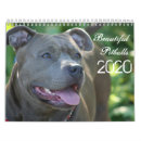 Suche nach pitbulls kalender Hunde