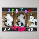 Suche nach spay kunst Kätzchen