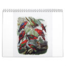 Suche nach papagei kalender Vogel