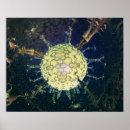 Suche nach neuron poster Synapse