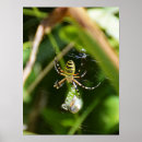Suche nach beute poster Tiere