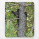 Suche nach bärenjunge mousepads Schwarzbär