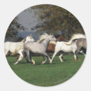 Suche nach araber aufkleber Bob langrish