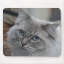 Suche nach mit blauen augen mousepads Grau