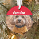 Suche nach cockapoo ornamente Hunde