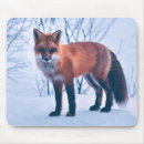 Suche nach roter fuchs mousepads Aquarell