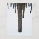 Suche nach symmetrie postkarten Schnee