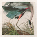 Suche nach john james audubon untersetzer Natur