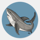 Suche nach haifisch aufkleber Junge