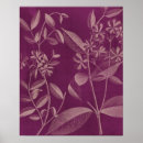 Suche nach botaniker poster Blume