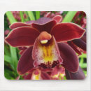 Suche nach orchideen blumen mousepads Natur