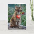 Suche nach luv postkarten Katze