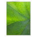 Suche nach adern postkarten Blatt