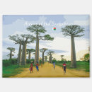 Suche nach baobab magnete Madagaskar