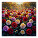 Suche nach chrysanthemen poster Für alle