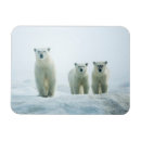 Suche nach cute animals magnete Animals in the wild