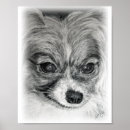 Suche nach papillon hund poster Hunde