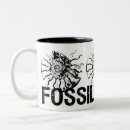 Suche nach ammonit tassen Fossilien