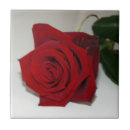 Suche nach rote rose fliesen Romantik